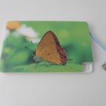 power bank credit card