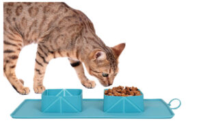ciotola pieghevole da viaggio in silicone per cani e gatti by masitalia