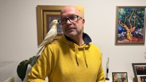 Ar il pappagallo e il marketing